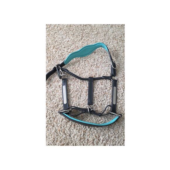 Horse halter black blue padding, name plate for engraving, Circle H hoofbeattack - Picture 2 of 3